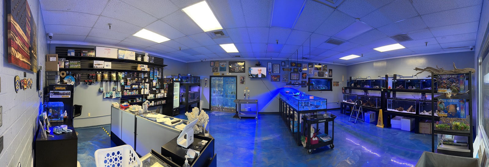 Aquarium supply store best sale